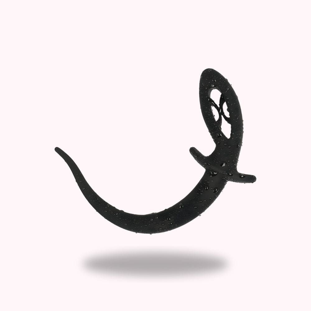 Plug anal chien