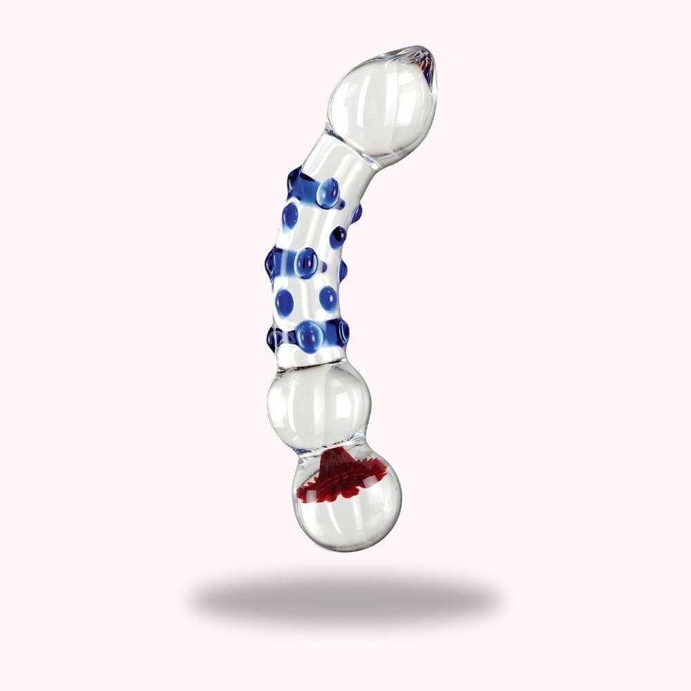 Plug anal gland en verre - Maison du Plug