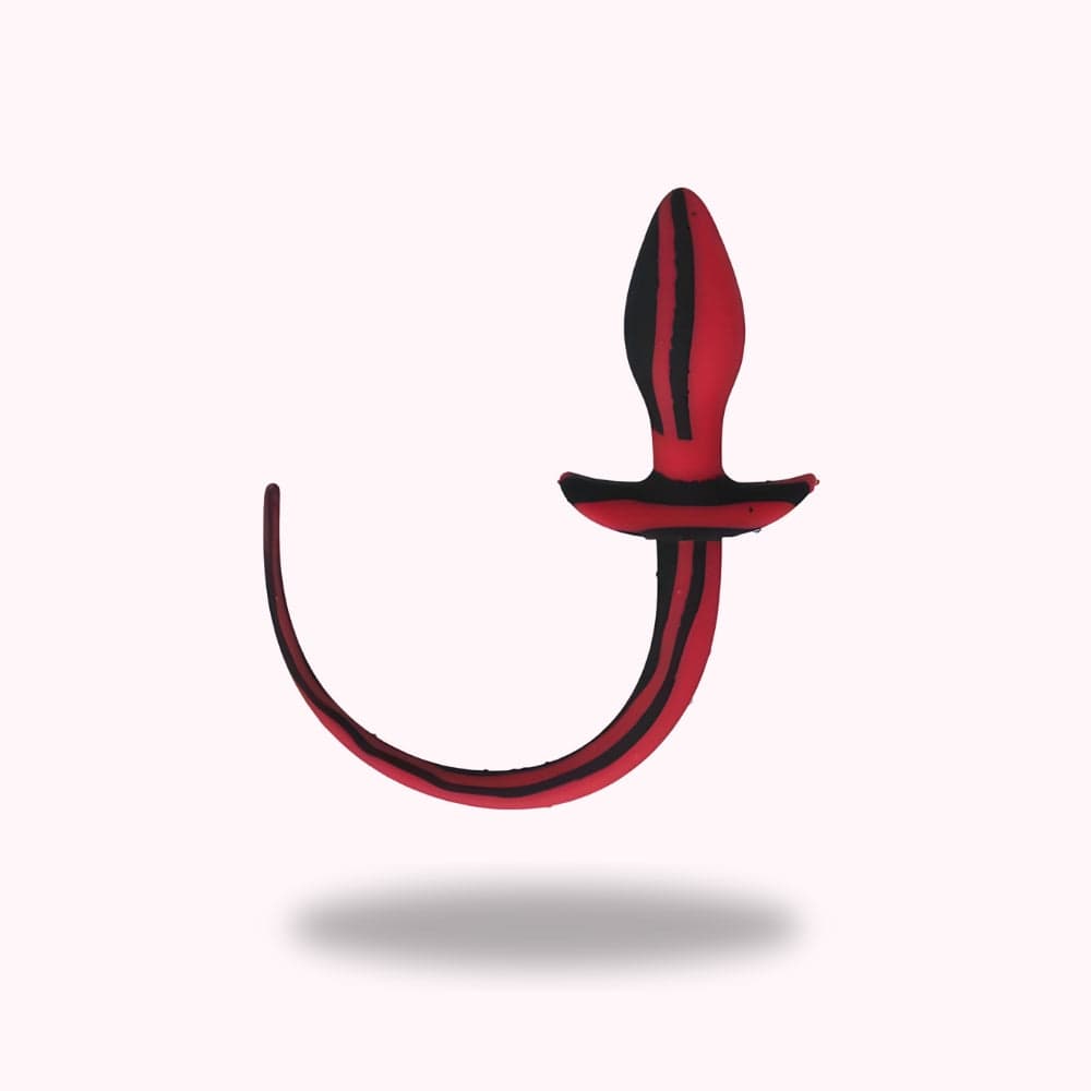 Plug anal chien - Maison du Plug